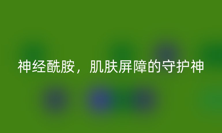 神經(jīng)酰胺，肌膚屏障的守護神